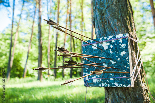 Archery target and arrows. photo