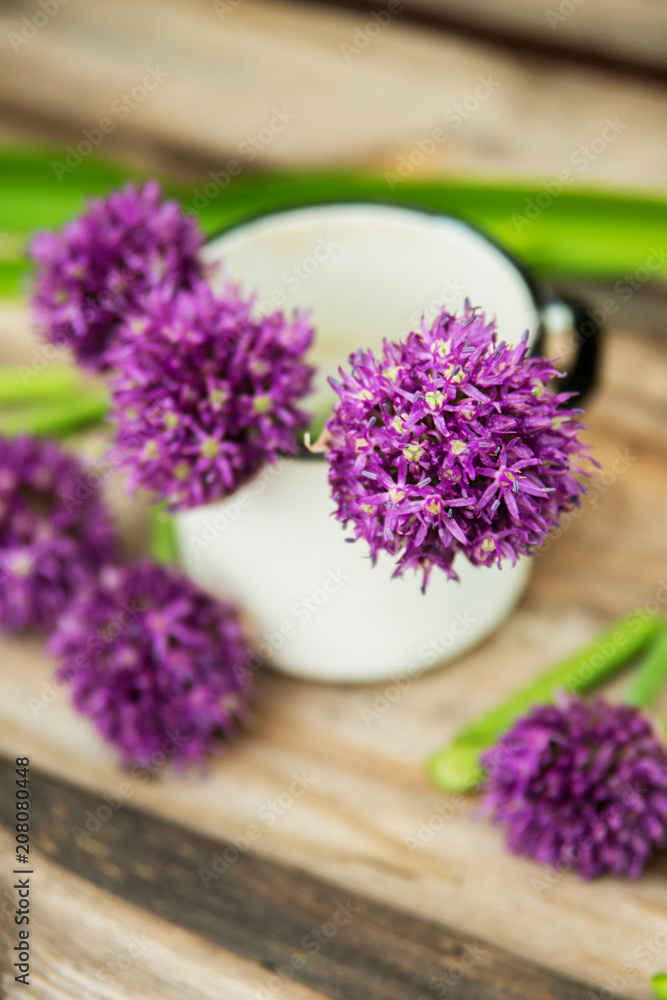 Closeup of flowering chives with shallow depth of field and focus concentrated on flower in the foreground Closeup of flowering chives with shallow depth of field and focus concentrated on flower in the foreground