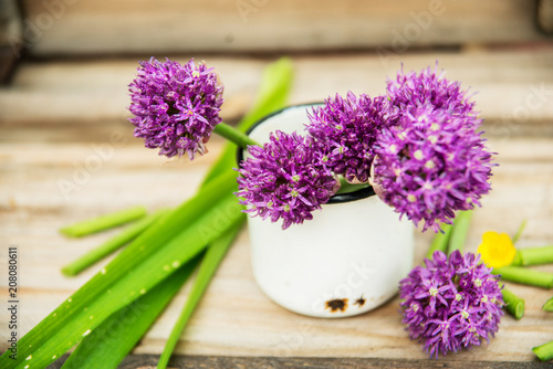 Canvas Print Closeup of flowering chives with shallow depth of field and focus concentrated o