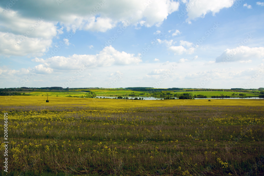 landscape of yellow fields and blue sky, Tulskaya oblast, Russia