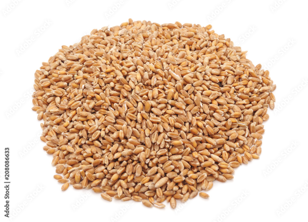 Whole grain of wheat. Whole grain of wheat.