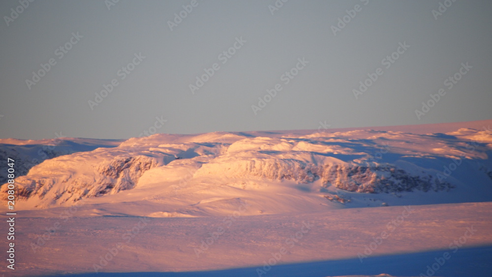 Naklejka premium OLYMPUS DIGITAL CAMERA