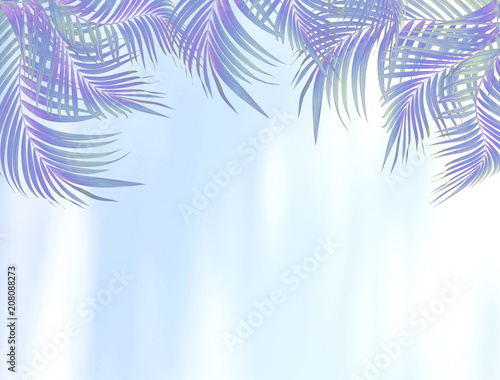 leaves of palm tree background © studio2013