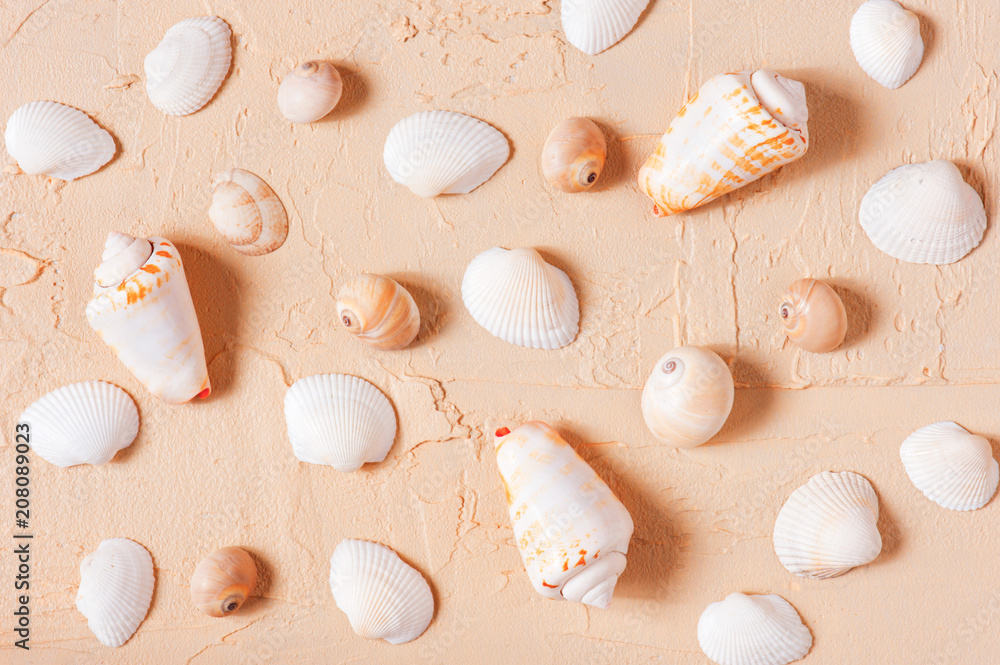 Sunny pattern of seashells on the textured yellow background