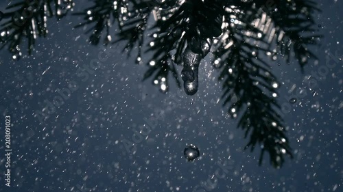 Heavy rain drops falling from fir needles and glittering frozen icicles against blue sky background in slow motion. Magic closeup view of peaceful nature with sparkling raindrops.
