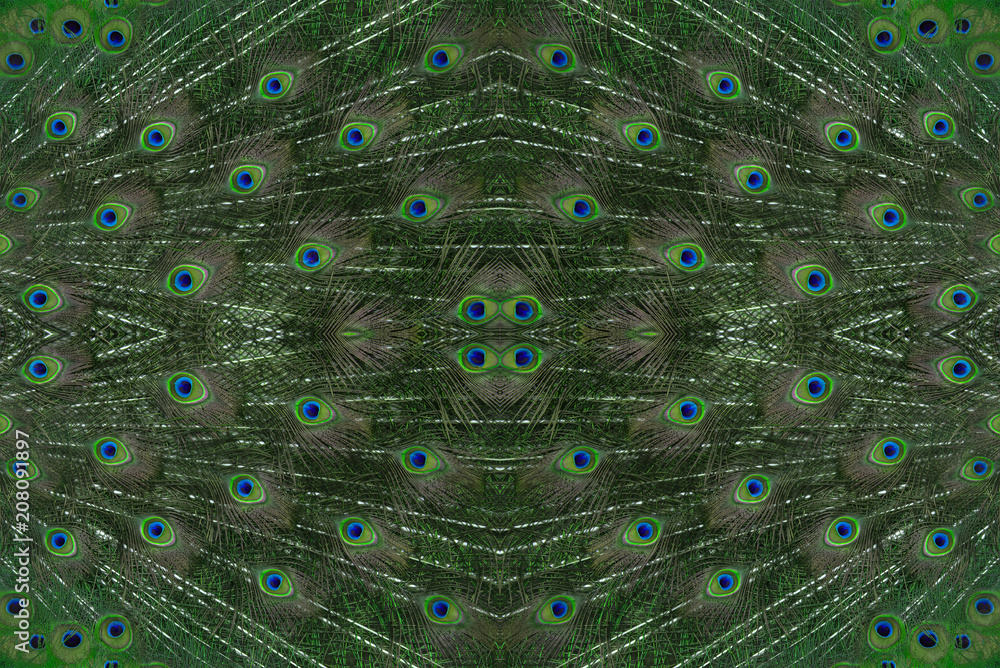 Obraz premium Seamless image made of peacock feathers.