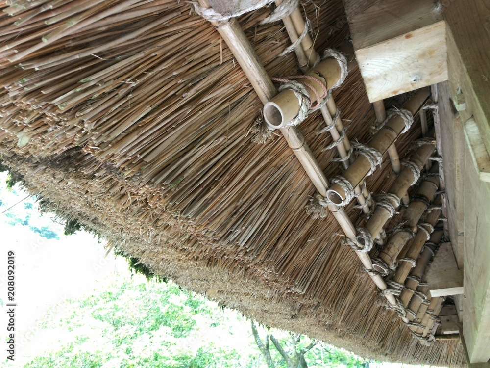 煤竹 京都 北山合掌 茅葺 屋根材 園芸竹材 500_F_753461600_05GAZBaeSdJSQ0
