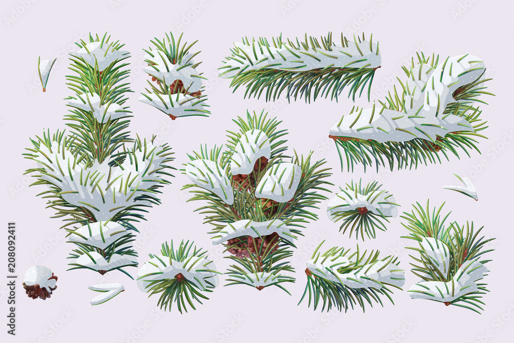 Fototapeta premium vector christmas evergreen pine tree branch set
