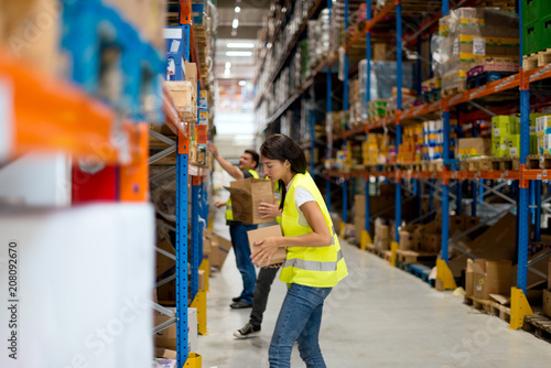 Quadro em tela Workers working in warehouse