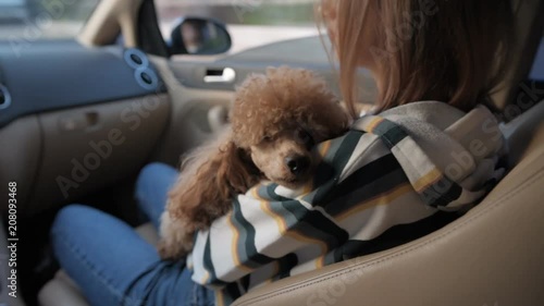 The young woman (passenger) with her dog sit in the car and ride around at the city.