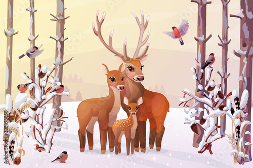 vector winter, christmas, xmas, noel wonderland card