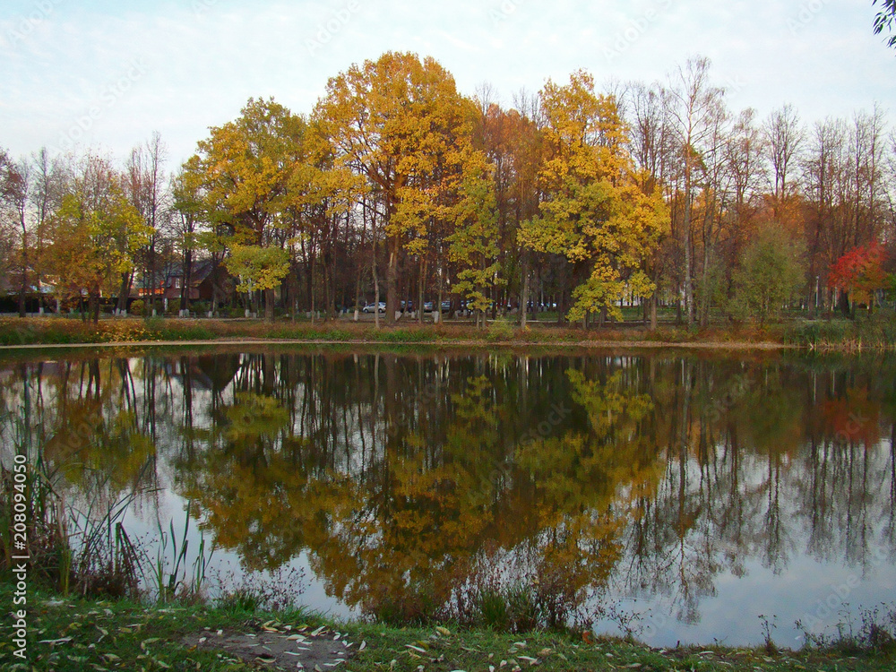 Obraz premium Beautiful autumn view with a pond