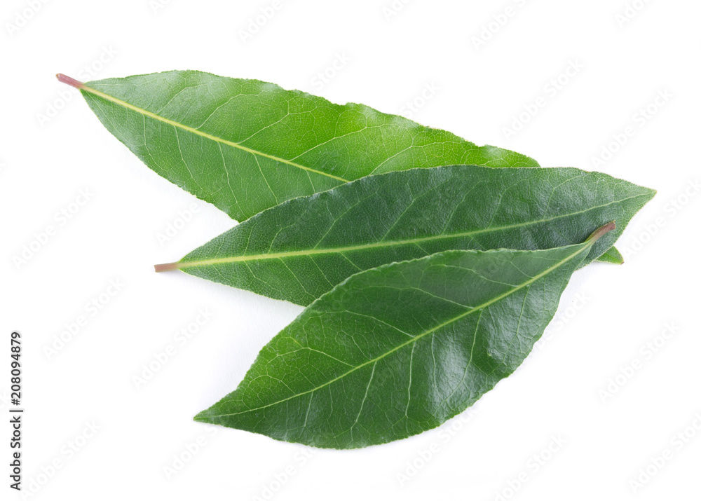 Obraz premium Bay leaves isolated on white background