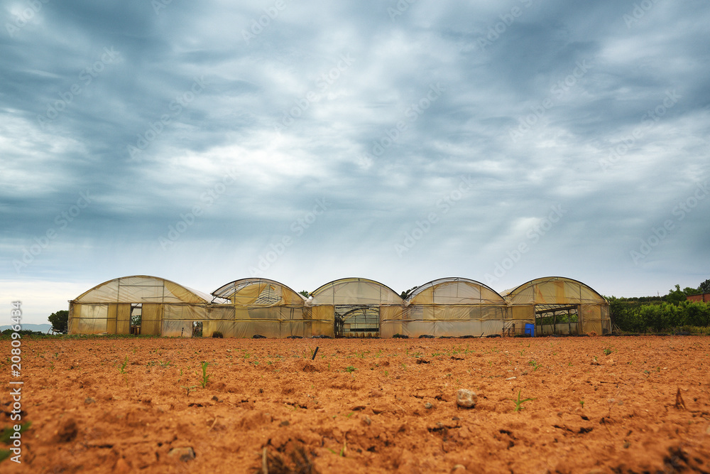 Agriculture and farming background with some weathered greenhouses next to tilled land. Cloudy sky and empty copy space for Editor's text. Agriculture and farming background with some weathered greenhouses next to tilled land. Cloudy sky and empty copy space for Editor's text.