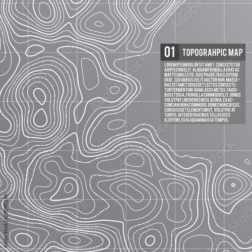 Vector topographic map background. Business concept. Abstract vector illustration
