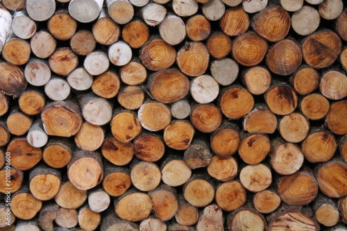 A Freshly Cut Pile of Firewood Logs.