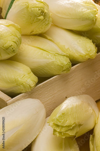 Foto endive01