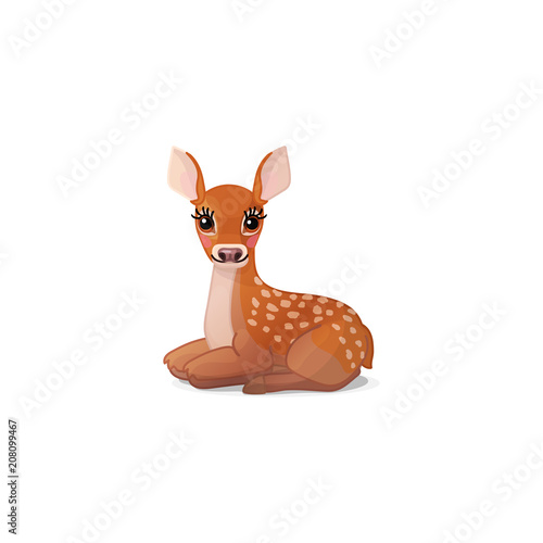vector spotty fawn, baby red deer, young little bambi 02 photo