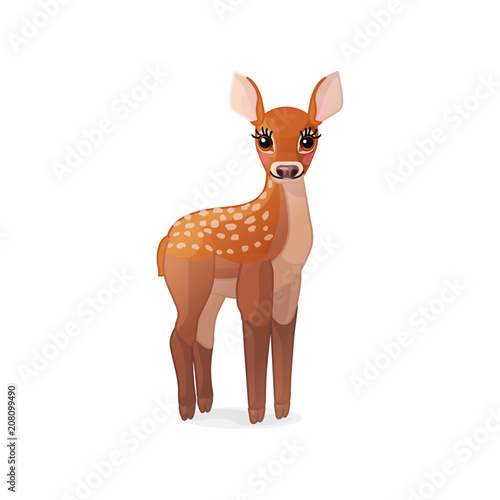 vector spotty fawn, baby red deer, young little bambi 03