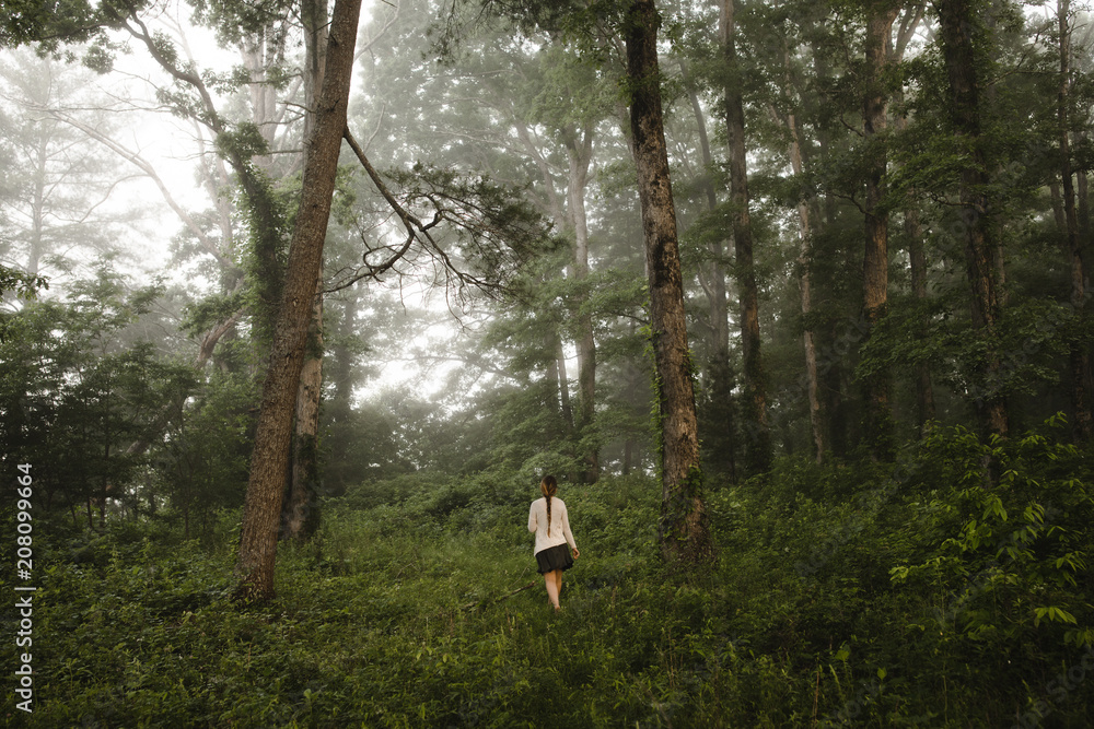 a woman walking through the woods in the morning a woman walking through the woods in the morning