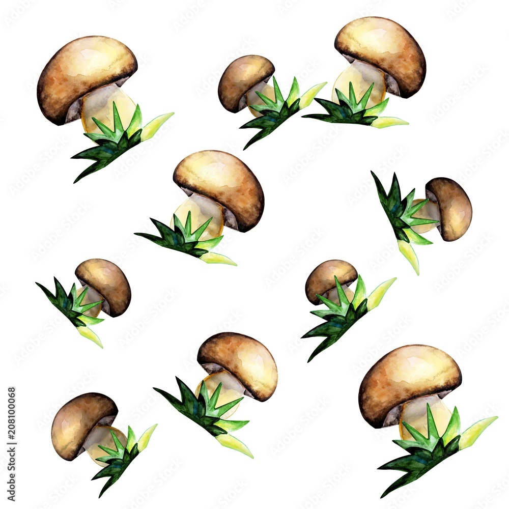 mushrooms painted with watercolour mushrooms painted with watercolour