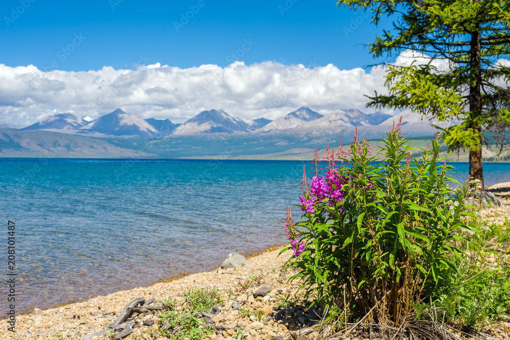 Wild nature of Mongolia. A beautiful view of Lake Hovsgol and the Eastern Sayan Ridge on a sunny summer day