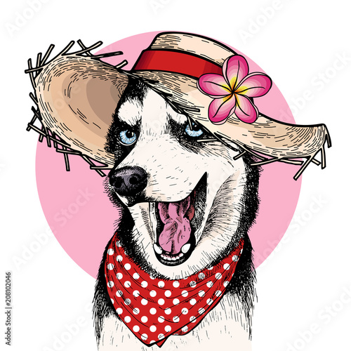 Vector portrait of Siberian husky dog wearing straw hat, flower and polka dot bandana. Summer fashion illustration. Hand drawn pet portait. Poster, t-shirt print, holiday, postcard, summertime