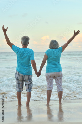 Happy elderly couple resting on tropical  beach