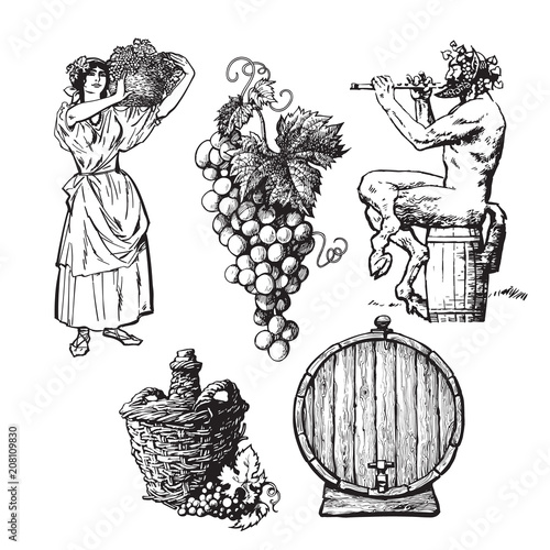 Set of hand drawn elements for wine design photo