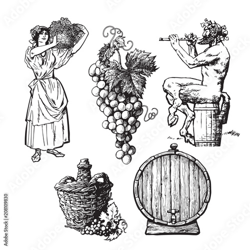 Set of hand drawn elements for wine design