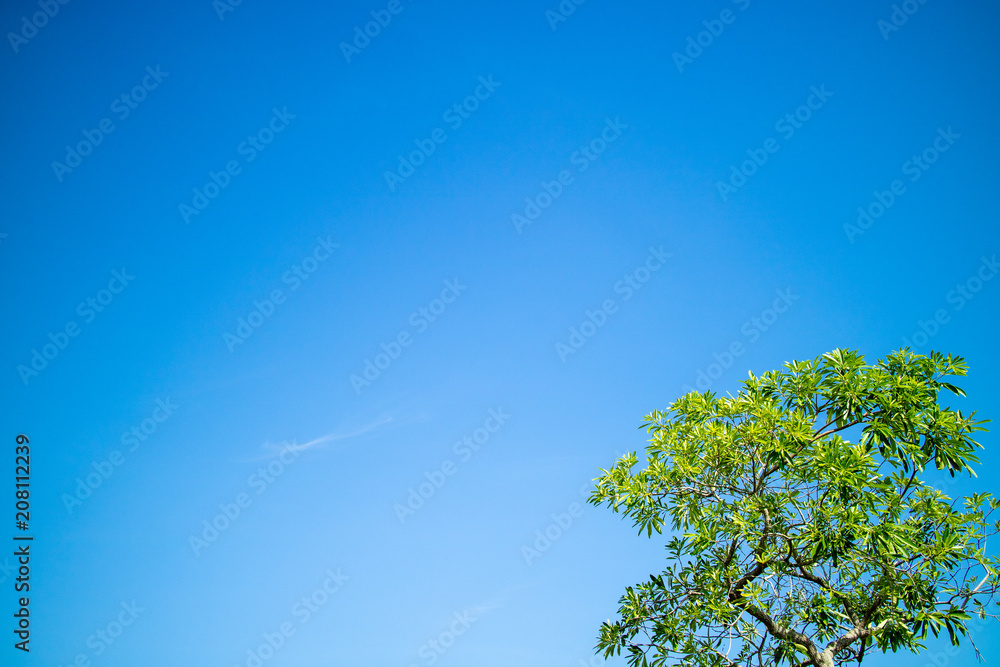 Fototapeta premium sky with clouds background