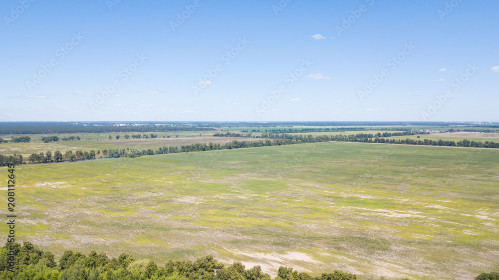 agriculture green fields aerial view