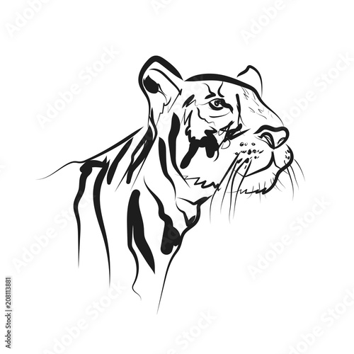Fototapeta Naklejka Na Ścianę i Meble -  Vector sketch head tiger