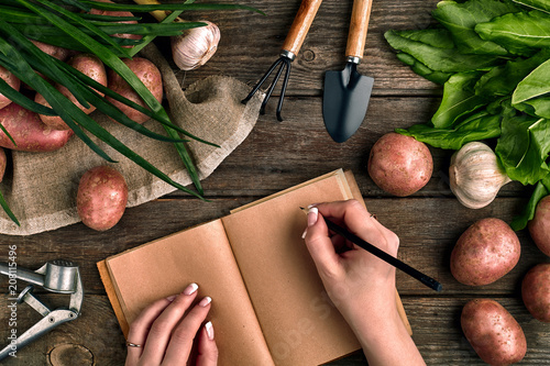 Notepad for entries in female hands, Close-up. Top view on a wooden background with garden tools, greens, onions, garlic and potatoes photo
