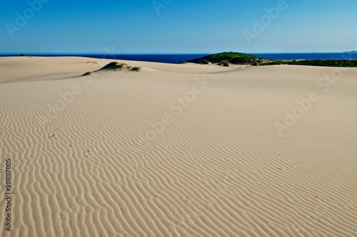 Sand dunes in Myall Lakes in Australia.