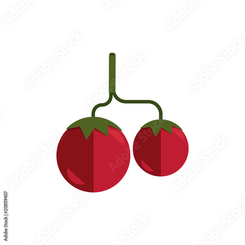 Ripe raw tomatos on branch icon. Red healthy food, vegetable full of vitamins. Fresh nutritions source, dieting and healthy life style symbol. Vector flat illustration isolated