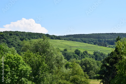 Fernblick im unteren Ahrtal photo