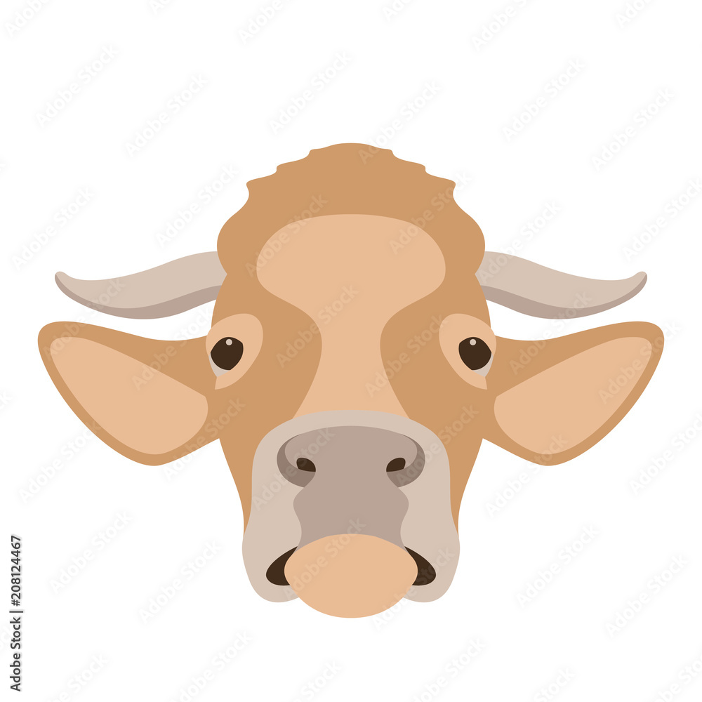 cow face head vector illustration flat style front cow face head vector illustration flat style front
