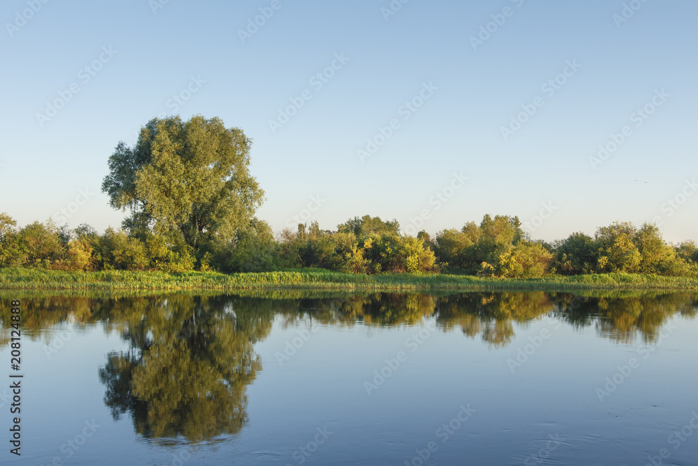 Landscape of river bank on clear summer day. Reflections of trees in water surface against blue clear sky. Natural scene of nature. Trees and plants on river shore.