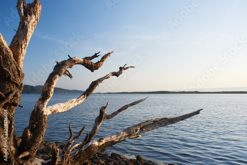 Driftwood on Netarts Bay photo