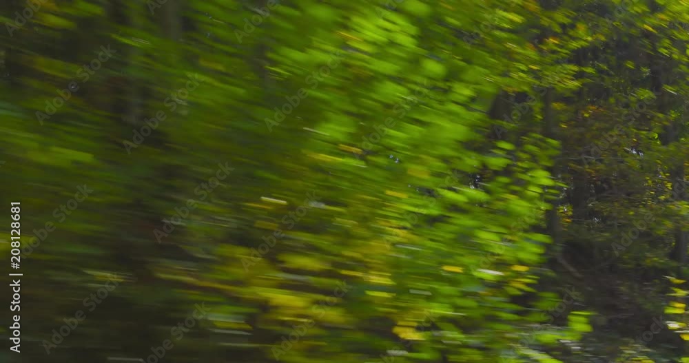 Autumn Driving - Driving on a mountain road on a beautiful autumn day. POV shot from the side window of a car, hand-held camera - ProRes Autumn Driving - Driving on a mountain road on a beautiful autumn day. POV shot from the side window of a car, hand-held camera - ProRes