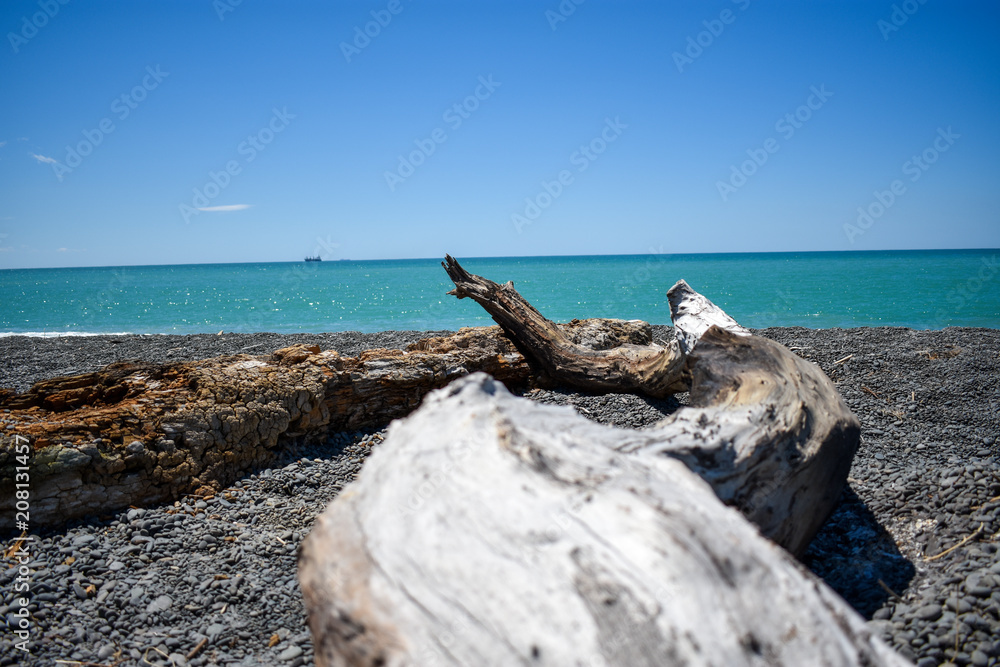 Fototapeta premium Napier Neuseeland