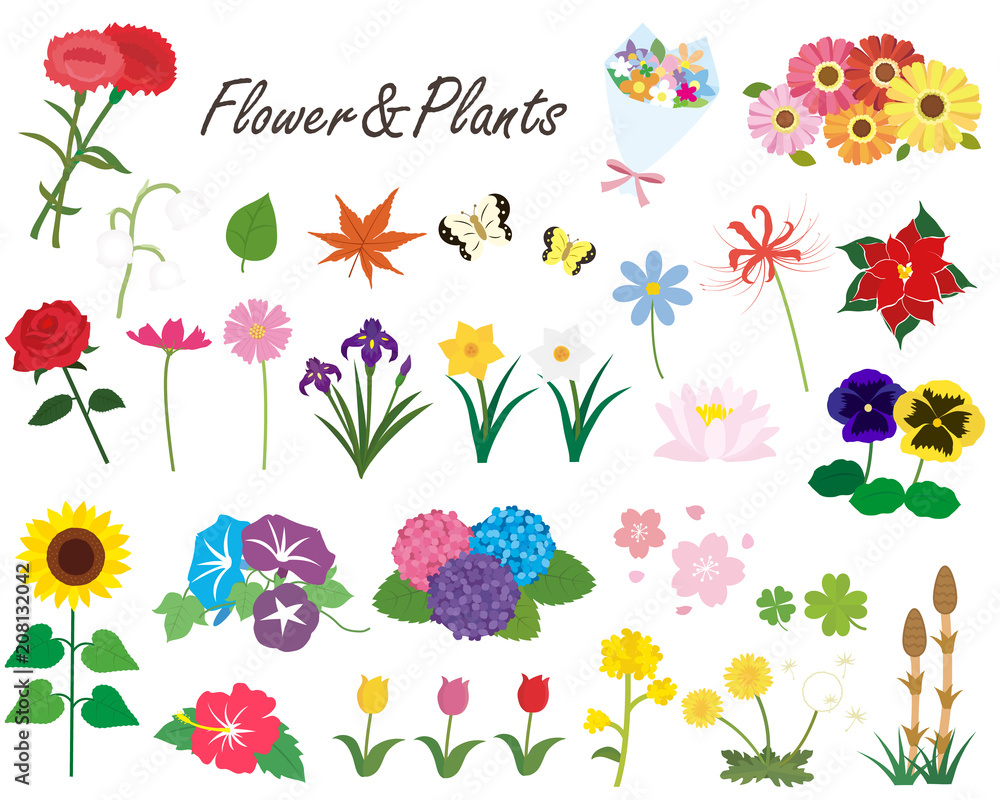 季節の花と植物のイラスト素材 Stock ベクター Adobe Stock