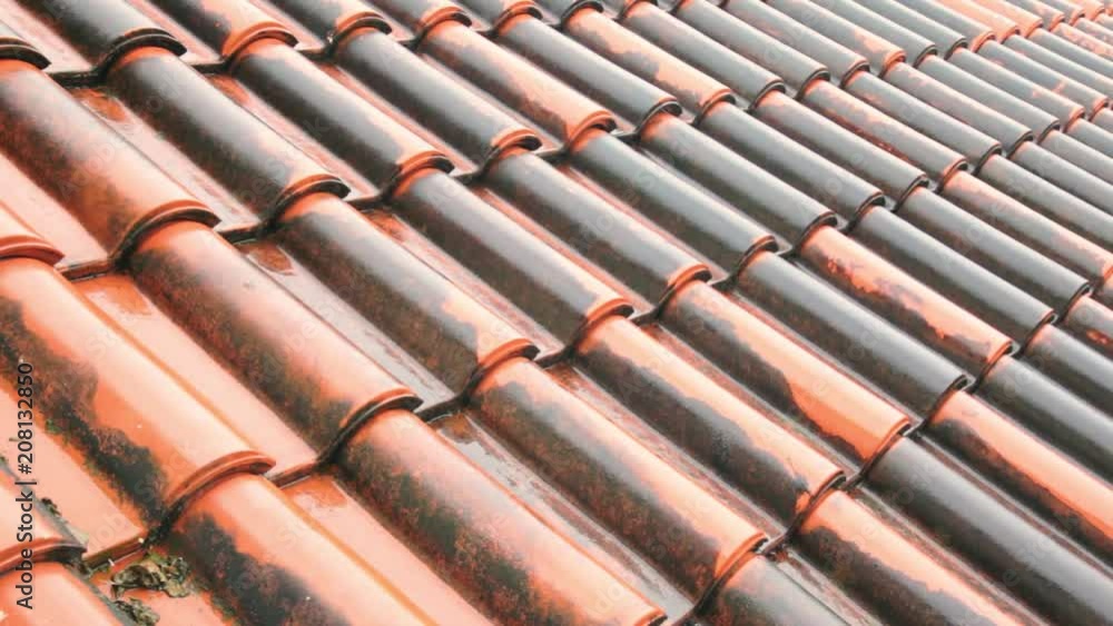 red-tiled roof in the rain, summer day red-tiled roof in the rain, summer day