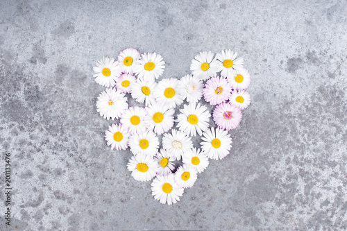 Heart of small white daisies on the textured gray table