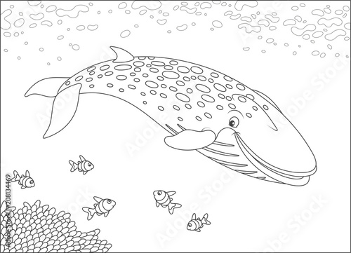 Blue northern whale swimming near a reef, black and white vector illustration in a cartoon style for a coloring book