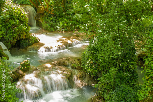 Fototapeta Naklejka Na Ścianę i Meble -  river stream through the forest near krushuna waterfall north of bulgaria near city of lovech