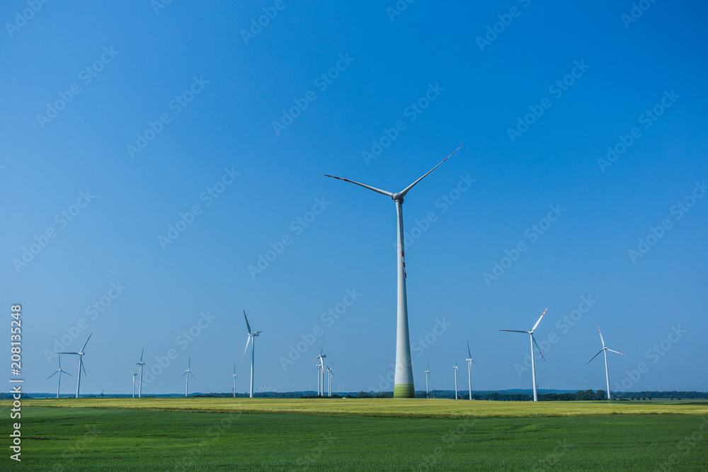 Wind turbine farm. Wind turbine farm.
