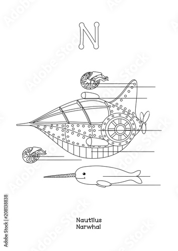 vector outline animals English alphabet for letter N