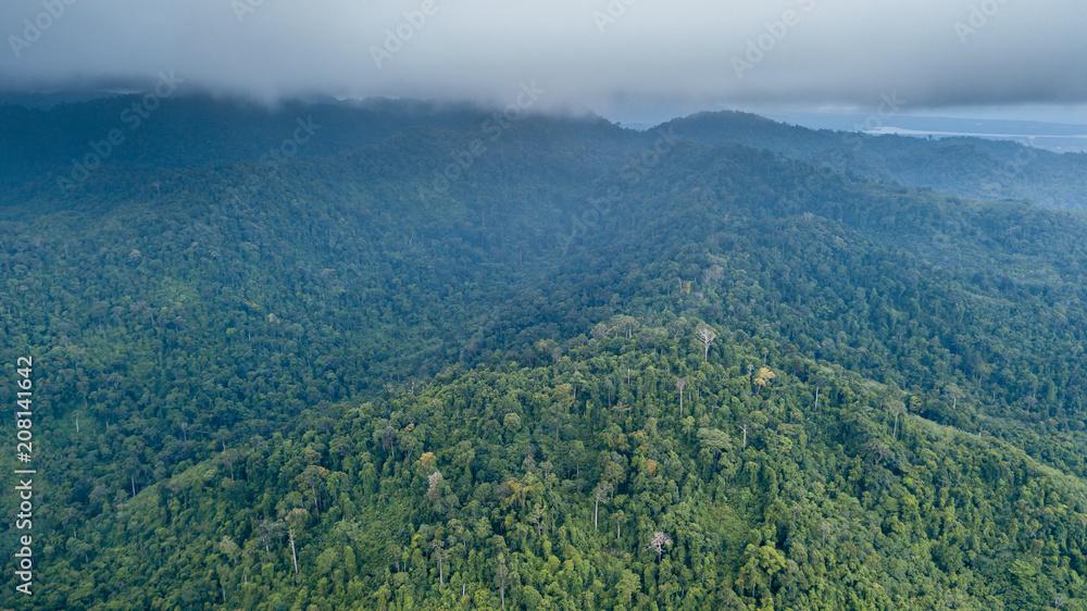 Aerial drone view of a cloudy tropical rain forest
